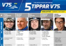 Fem tippar V75 till Skellefteå 1 oktober 2022 fem tippar v75 skelleftea 1 okt 2022