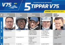 Fem tippar V75 till Romme 29 oktober 2022 fem tippar v75 romme 29 oktober 2022