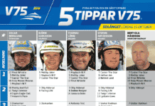 Fem tippar V75 till Solänget 15 oktober 2022 fem tippar v75 solanget 15 oktober 2022