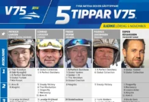 Fem tippar V75 till BJERKE 5 november 2022 fem tippar v75 v44 bjerke 5 november 2022