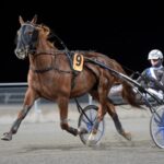 Drömmen om Prix d’Amerique lever för Rackham drömmen om prix d’amerique lever för rackham