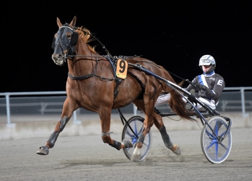 drömmen om prix d’amerique lever för rackham
