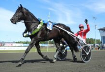 Inför Grand Slam 75: Månlykke A.M. jagar första årssegern i säsongens elfte timme ingen start för månlykke a.m.