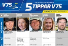 Fem tippar V75 till SOLVALLA 26 november 2022 fem tippar v75 v47 hr
