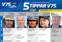 Fem tippar V75 till BERGSÅKER 3 december 2022 fem tippar v75 v48 bergsaker 3 december