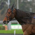 Calgary Games matchas vidare mot Prix d’Amerique calgary games matchas vidare mot prix d'amerique