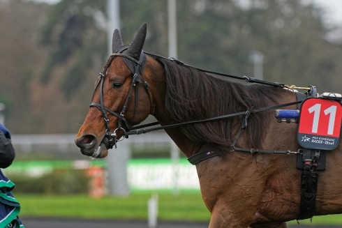 calgary games matchas vidare mot prix d'amerique