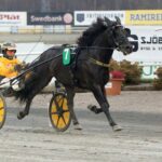 Inför V75®: Tvåa i förra finalen – seger nu? inför v75® tvåa i förra finalen seger nu
