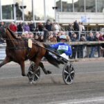 Inför V75 (annandag jul): Massör på segerhumör inför v75® (annandag jul) massör på segerhumör