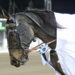Inför V75 (nyårsafton/multijackpot): En ferrari i vinterns största lopp inför v75® (nyårsafton:multijackpot) en ferrari i vinterns största lopp
