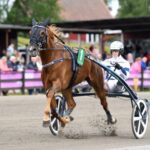 Inför V75 (nyårsafton/multijackpot): Spikbud jagar tredje raka inför v75® (nyårsafton:multijackpot) spikbud jagar tredje raka