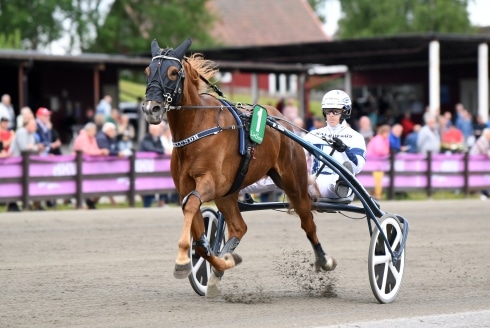 inför v75® (nyårsafton:multijackpot) spikbud jagar tredje raka