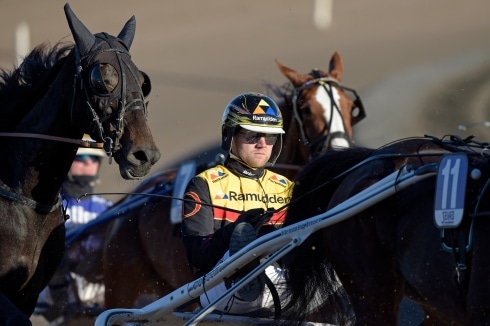 mats e djuse vinner flest kuskchampionat 2022
