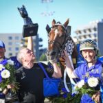 Moni Viking laddas mot ny start i Prix d’Amérique moni viking laddas mot ny start i prix d'amérique