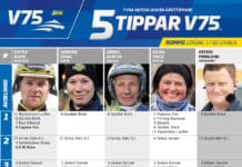 Fem tippar V75 till Romme lördag 17 december 2022 fem tippar v75 v50 romme 17 december 2022