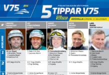 Fem tippar V75 till Axevalla Nyårsafton 2022 fem tippar v75 v52 final