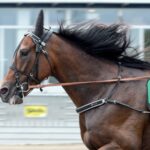 Ingen start för Calgary Games tar sig calgary games till prix d'amerique?