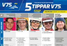 Fem tippar V75 till HALMSTAD lördag 28 januari 2023 fem tippar v75 halmstad 28 januari 2023