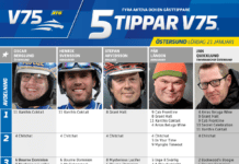 Fem tippar V75 till Östersund lördag 21 januari 2023 fem tippar v75 ostersund 21 januari 2023