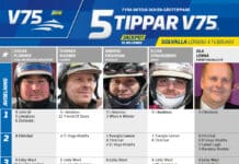 Fem tippar V75 till Solvalla lördag 4 februari 2023 fem tippar v75 solvalla 4 februari 2023