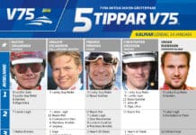 Fem tippar V75 till KALMAR lördag 14 januari 2023 fem tippar v75 v2 kalmar 14 januari 2023