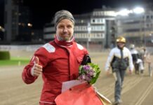 Inför GS75: ”Träna hästar är det bästa jag har gjort” inför gs75 träna hästar är det bästa jag har gjort