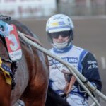 Inför V75 Champions: Djuse populärast bland tränarna inför v75 champions djuse populärast bland tränarna