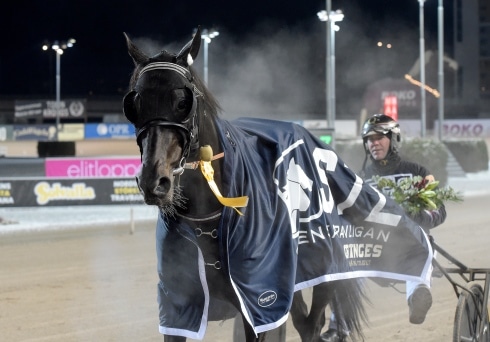 inför v86® drömmar om guld för four guys dream