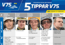 Fem tippar V75 till ÅBY lördag 11 februari 2023 fem tippar v75 aby 11 februari 2023
