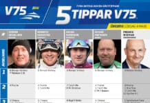 Fem tippar V75 till Örebro 4 mars 2023 fem tippar v75 till örebro 4 mars 2023