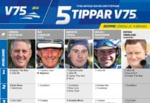 Fem tippar V75 till ROMME lördag 25 februari 2023 fem tippar v75 till romme lördag 25 beruari 2023 kopiera