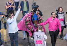 Etonnant har siktet inställt mot Elitloppet etonnant har siktet inställt mot elitloppet