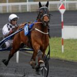 Franske stjärnan Horsy Dream klar för Elitloppet franske stjärnan horsy dream klar för elitloppet