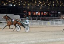 Inför V86 (jackpot): Hinner spurtkanonen Even Younger fram igen? inför v86® (jackpot) hinner spurtkanonen even younger fram igen?