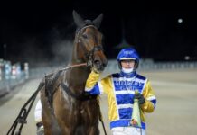 Resultat V86: Vilken comeback av Mellby Imperial! v86 vilken comeback av mellby imperial
