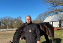 V86: Visbyamatören avslutar vintermeetinget på Solvalla v86® visbyamatören avslutar vintermeetinget på solvalla