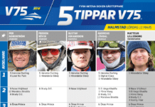 Fem tippar V75 till Halmstad Lördag 11 mars 2023 fem tippar v75 halmstad 11 mars 2023