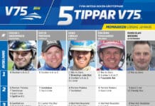 Fem tippar V75 till MOMARKEN 18 mars 2023 fem tippar v75 v11 momarken 18 mars 2023