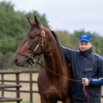 Gott om elitloppshästar i Caen etonnant mot elitloppet i toppform