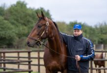 Gott om elitloppshästar i Caen etonnant mot elitloppet i toppform
