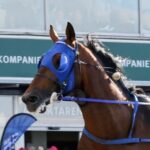 Etonnant visade elitloppsformen etonnant visade elitloppsformen