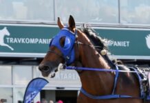 Etonnant visade elitloppsformen etonnant visade elitloppsformen
