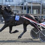 Inför V75 (skärtorsdag): Månlykke A.M. inleder Springrace inför v75 (skärtorsdag) månlykke a.m. inleder springrace