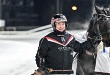 Inför V86 (jackpot): Benny har kommit till Solvalla för att stanna inför v86® (jackpot) benny har kommit till solvalla för att stanna