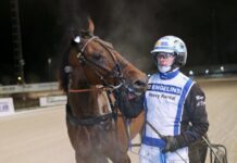 Inför V86 (jackpot): Djuses segermaskin jagar nionde raka inför v86®:jackpot djuses segermaskin jagar nionde raka