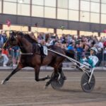 Nya matchningen av Francesco Zet – favorit i Elitloppet nya matchningen av francesco zet – favorit i elitloppet