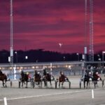 V75 & DD Tips + Unik statistik inför V75 Åby abytravet