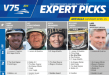 Fem tippar V75 till Axevalla 15 april 2023 expert picks v75 v15 hr