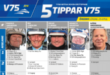 Fem tippar V75 till Örebro 29 april 2023 fem tippar v75 orebro 29 april 2023