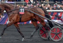 Fjärde franska hästen klar för Elitloppet fjärde franska hästen klar för elitloppet